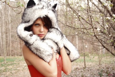 Bailey Knox The Wolf Hunter 3
