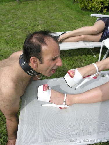 Ball Stretch Reward 12