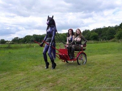 Rubber Horse Drawn Cart 13