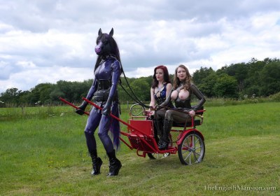 Rubber Horse Drawn Cart 14